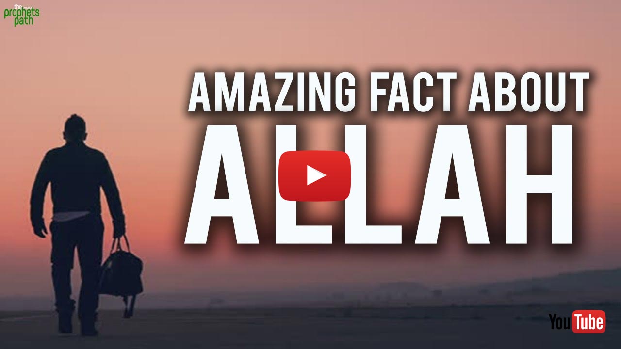 Amazing Fact About Allah