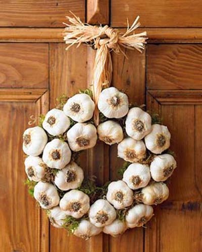 Pros & Cons of Garlic's Medicinal Properties