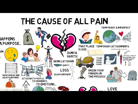 What Is The Cause Of All Pain?