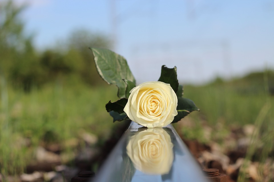 Ungrateful and Suicidal: My Hopeless Condition