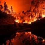 Europe in mourning as forest fires burn dozens to death