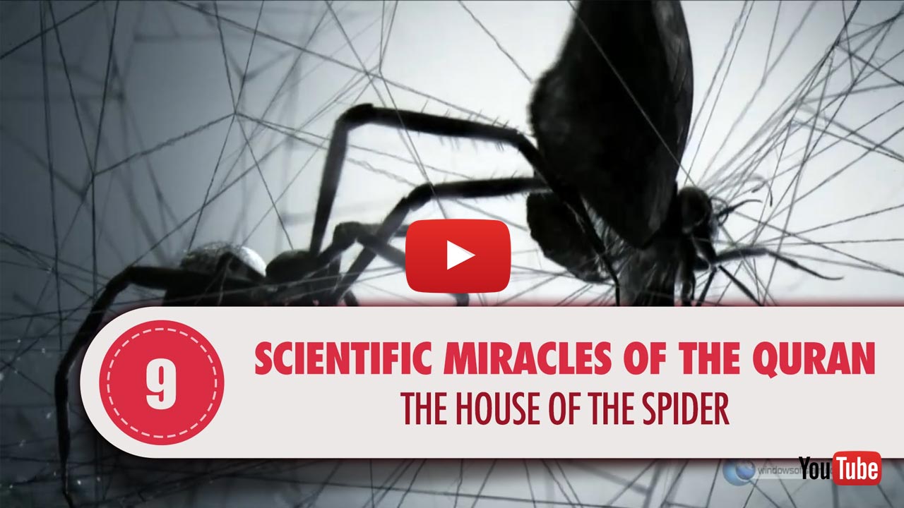Miracles In The Qur'an - The House Of The Spider