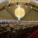 Taraweih Prayers in some mosques around the world
