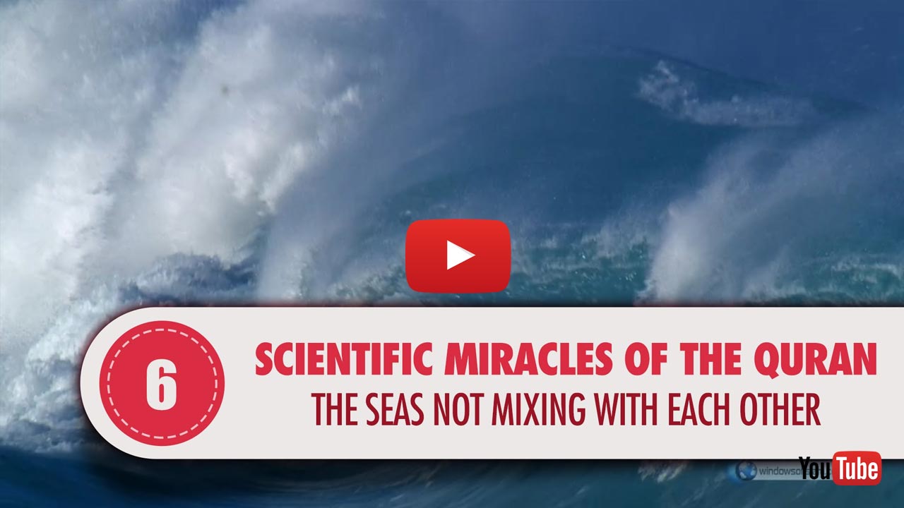 The Seas Not Mixing With Each Other - Miracles Of The Qur'an