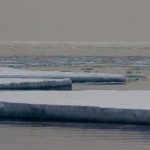 Icebergs Cracks off Antarctica