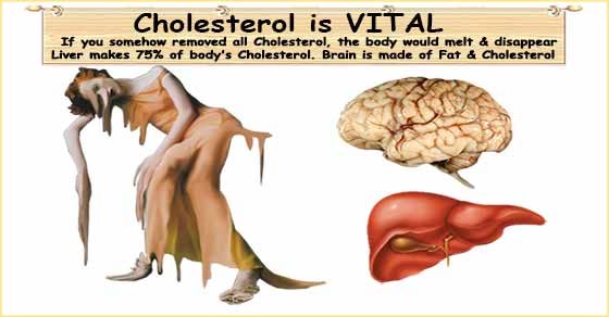 Is Cholesterol Really the Worst Problem?