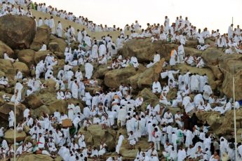 10+ Fatwas on Day of Arafah