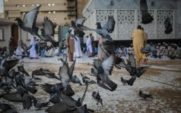 British Muslim’s Hajj Diary - Episode 2