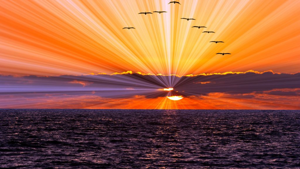 How Can I Know What God Is Calling Me To Do