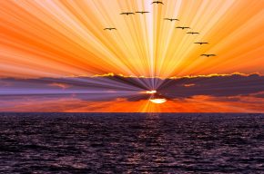 How Can I Know What God Is Calling Me To Do