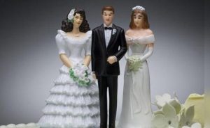 Polygamy Survival Guide