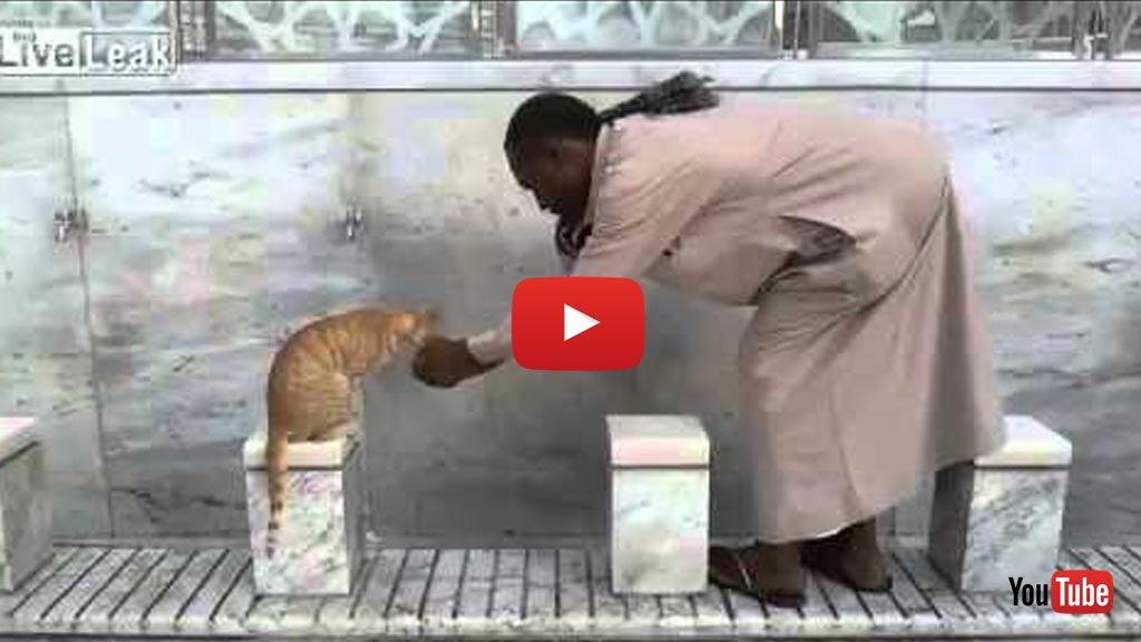 Man Gives Thirsty Cat Water In Makkah
