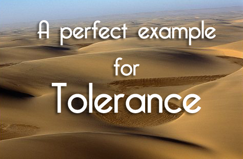 The Prophet's Perfect Tolerance Towards Other Faiths