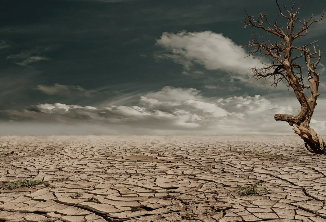 Lifeless Marriage: Stay or Leave?