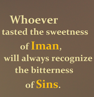 Tasting the Sweetness of Faith - About Islam