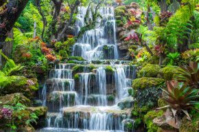 Beautiful Flower Gardens Waterfalls