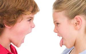 Sibling Quarrels: Set Rules and Acts—Contribution