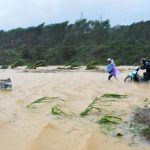 Typhoon Damrey kills dozens in Southeast Asia