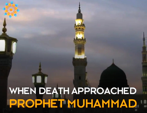 Why Didn’t the Prophet Designate a Successor Before His Death