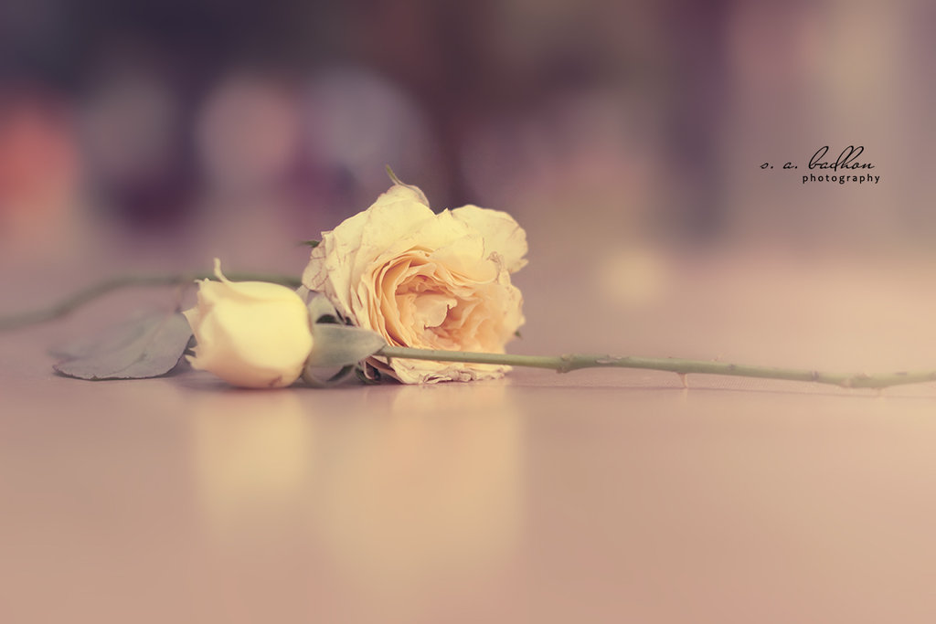 He Promised Marriage, Then Left Me