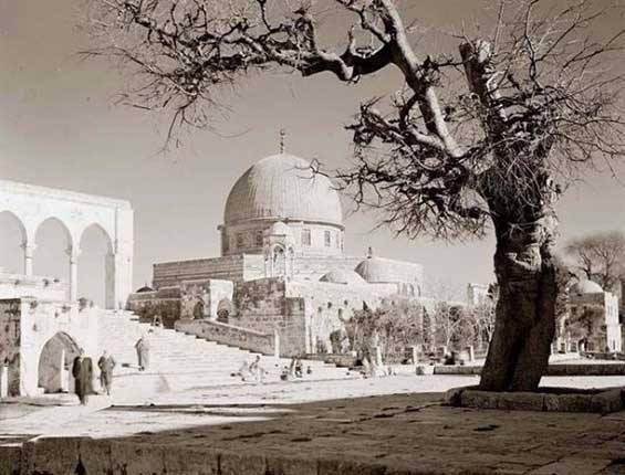 Photos of Old Palestine Prove the True Identity of the Promised Land - About Islam
