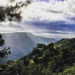 Black River Gorges National Park