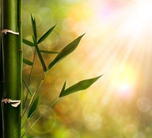 With All My Sins, How to Be Mindful of God? With All My Sins, How to Be Mindful of God?