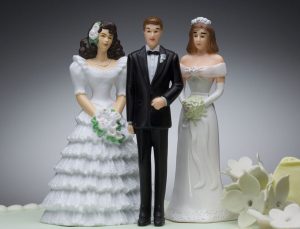 Polygamy Survival Guide