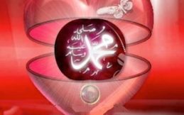 Reverts Love for Prophet Muhammad