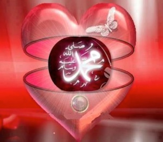Reverts Love for Prophet Muhammad