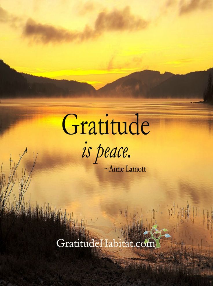 Powerful Strategies for Developing Gratitude - About Islam
