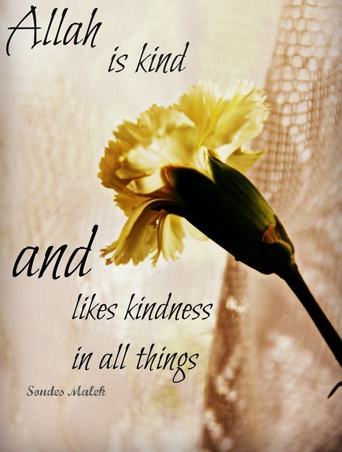 Islamic Quotes Kindness