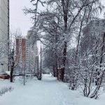 Heaviest snowfall on record blankets Moscow