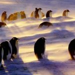 Big increase in Antarctic snowfall