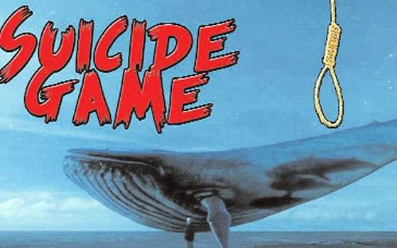 Is Playing Blue Whale Game Allowed?