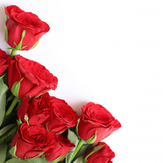 Confused about My Menstruation Period