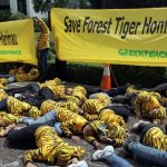 Indonesia combines Islam with Environmental Activism