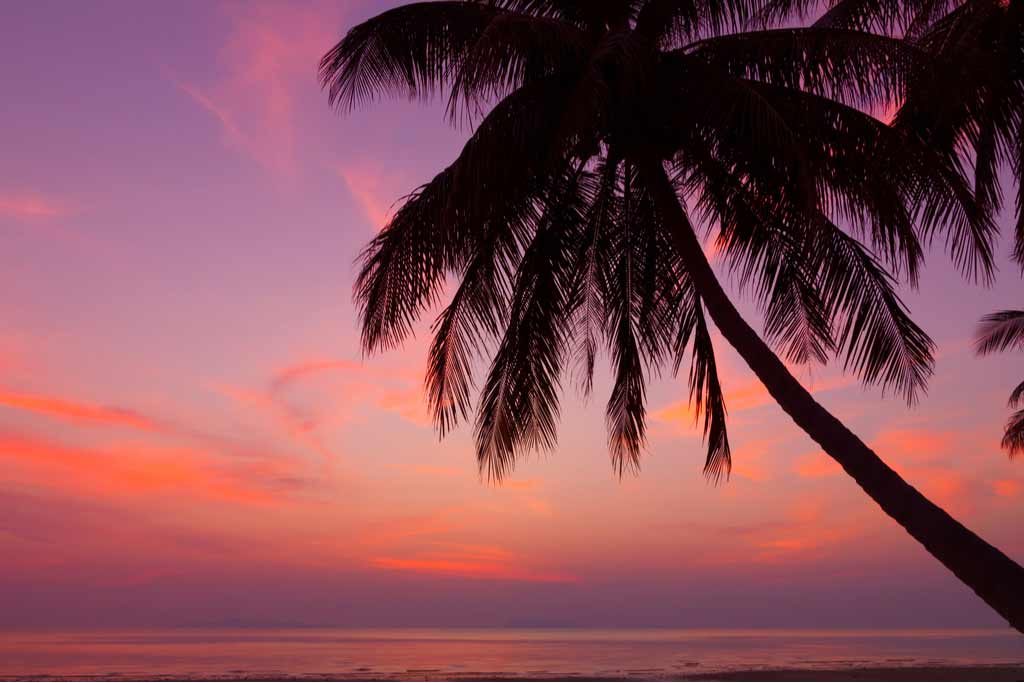 Who Are the 7 Black Companions of the Prophet?