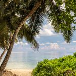 This is How the Prophet’s Best Friend Converted to Islam