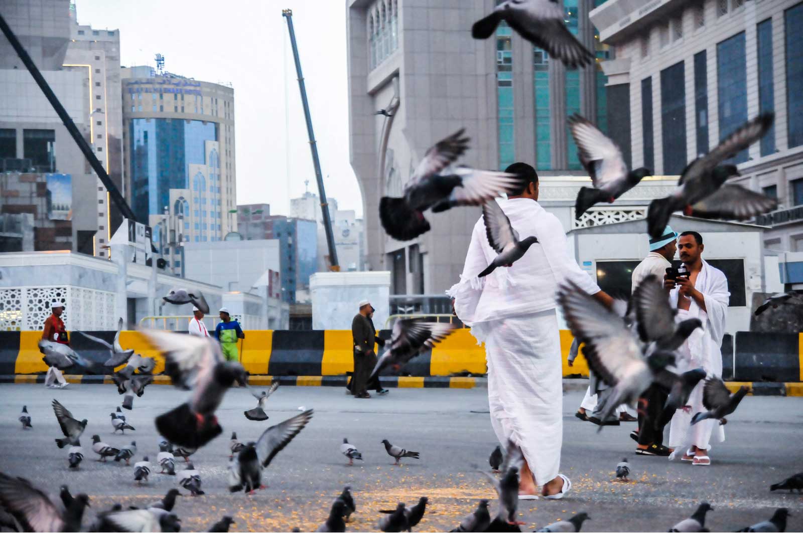 Does Accidentally Killing a Pigeon Invalidate Ihram?