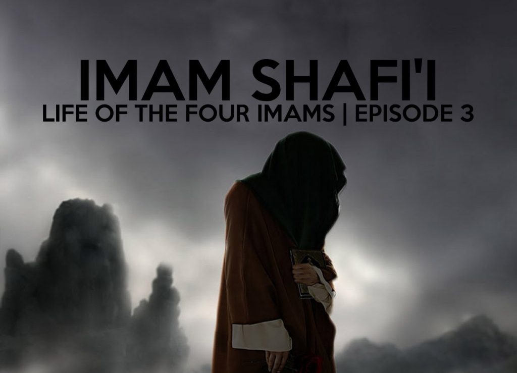 IMAM
IMAM visual data 3