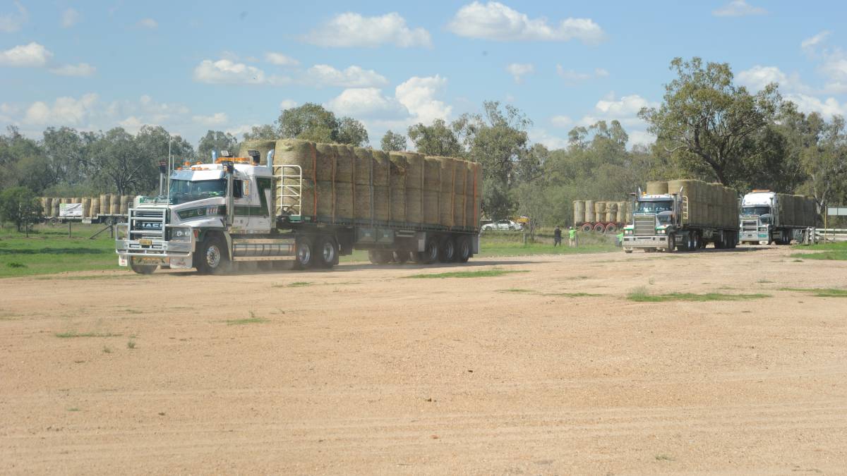 Australia Muslims Donate Hay to Drought-Hit Farmers - About Islam