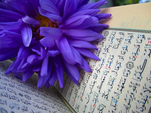 My Journey Through the Quran