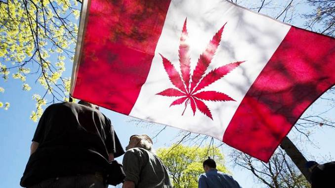Canada Legalized Cannabis But Muslims Are Not into It
