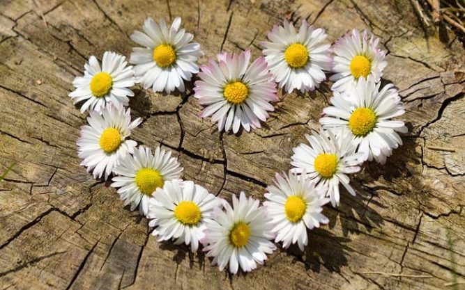 What Happens When Your Heart Is Clean?