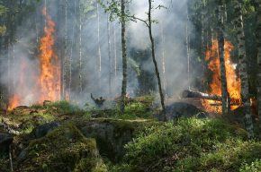 Why Would a Merciful God Allow Wildfires