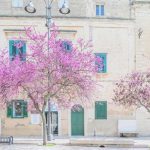 Matera: Italy’s Underground City - About Islam
