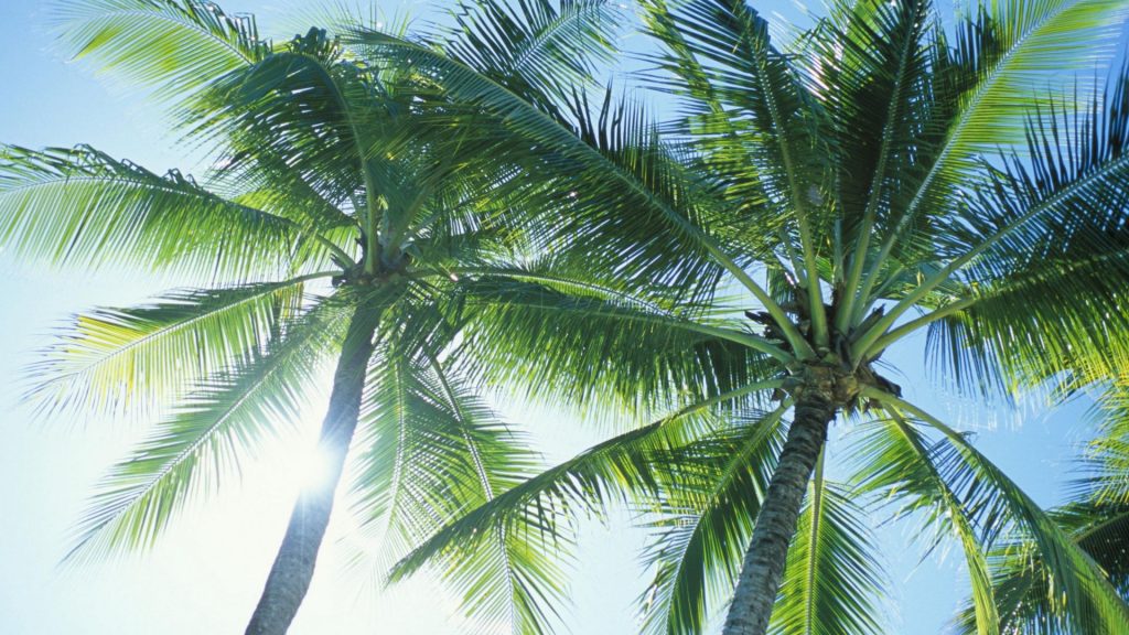 How Well Do You Know the Prophet Muhammad