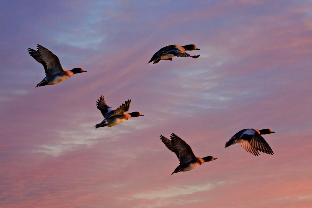 10 Principles for Those Seeking the Path of God
