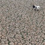 Chile's Aculeo Lagoon Dries Up for the First Time in 2,000 Years